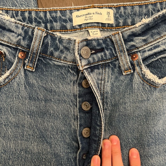 Abercrombie and Fitch Curve Love Dad Jean High Rise - Picture 2 of 4